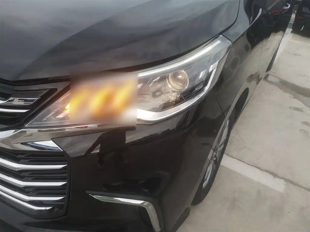 MAXUS OTHER 2021