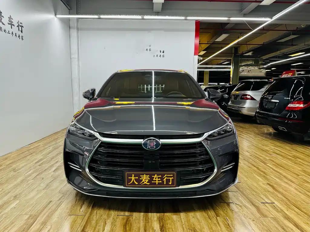 BYD TANG NEW ENERGY 2021