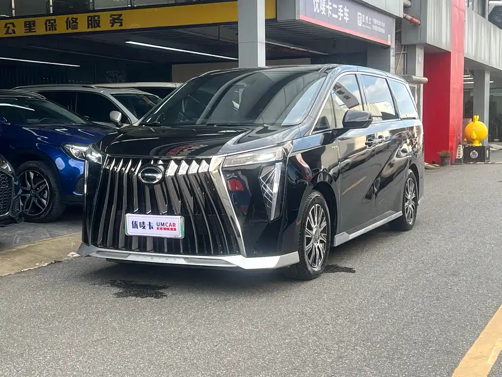 Аукционный лист TRUMPCHI E9 2024