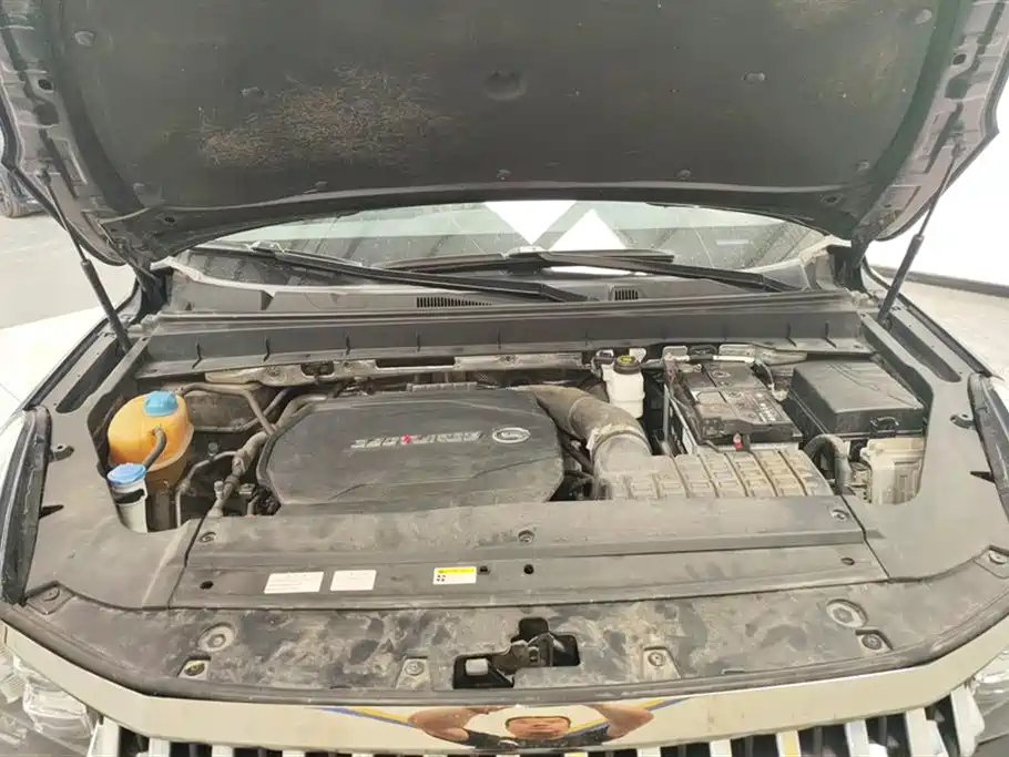 TRUMPCHI GS8 2020