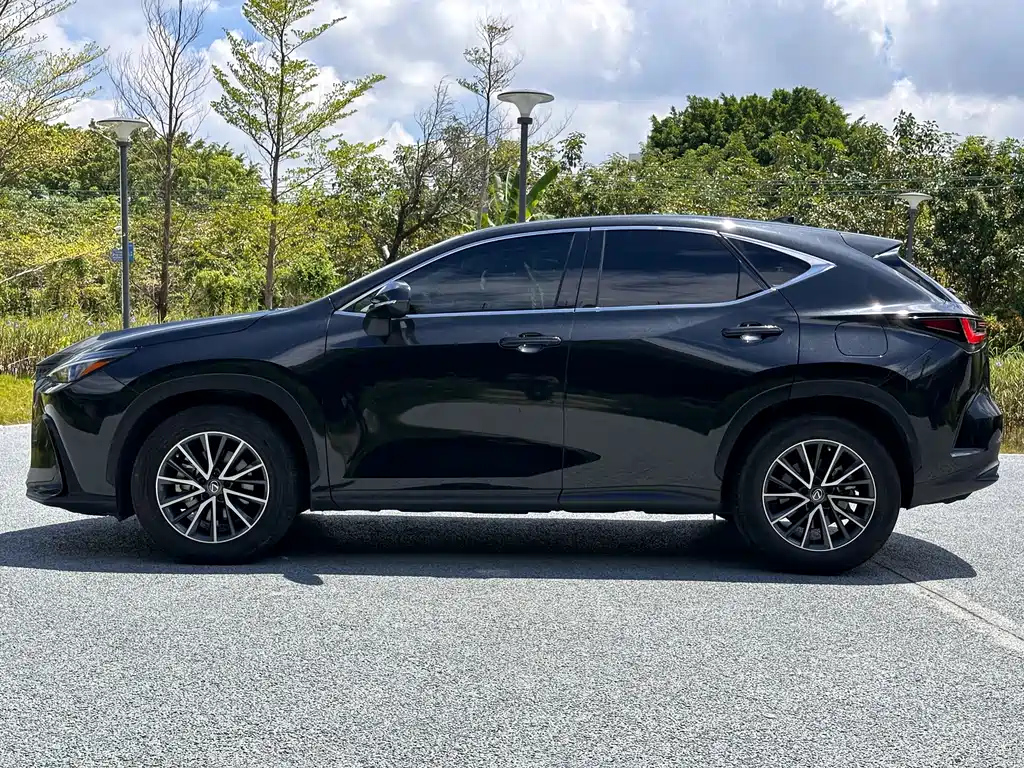 LEXUS NX 2022