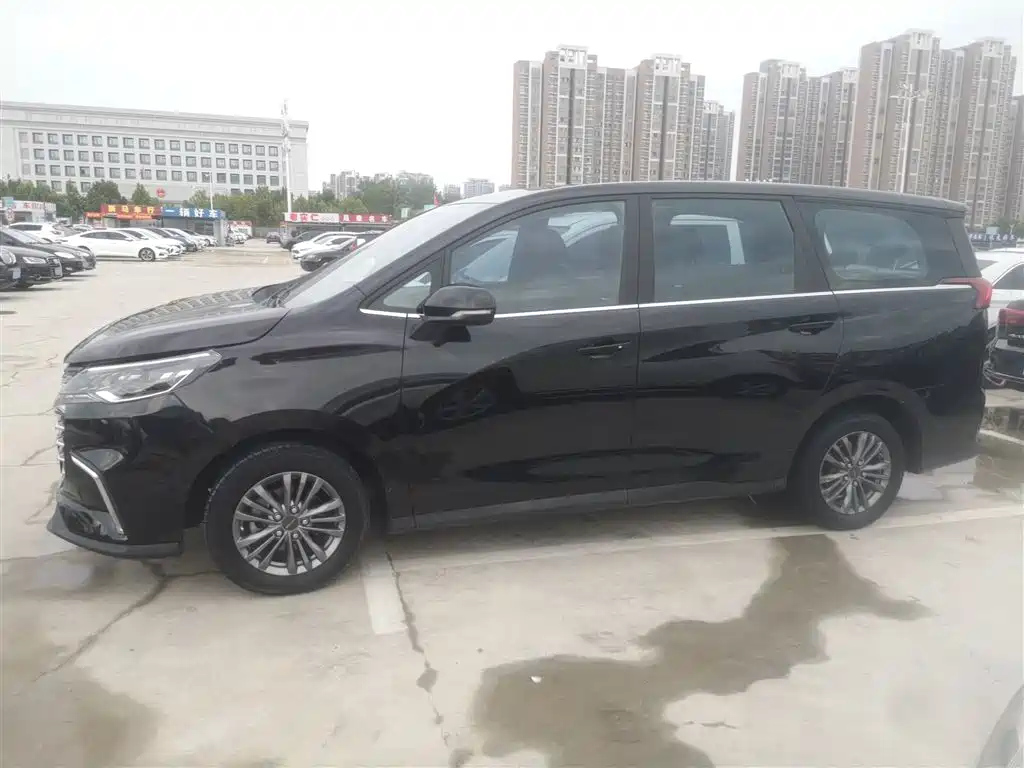 MAXUS OTHER 2021