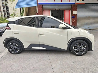 BYD SEAGULL  2025 YEAR 305KM FREEDOM EDITION 2025