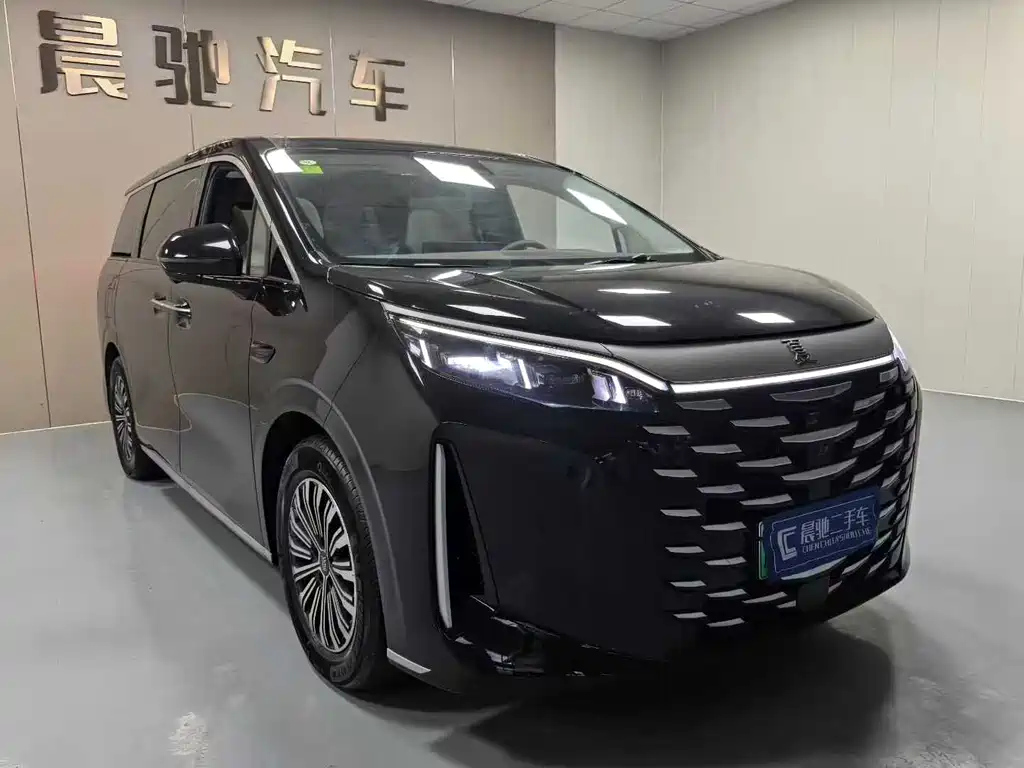 BYD OTHER 2025