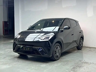 Заказать BYD SEAGULL