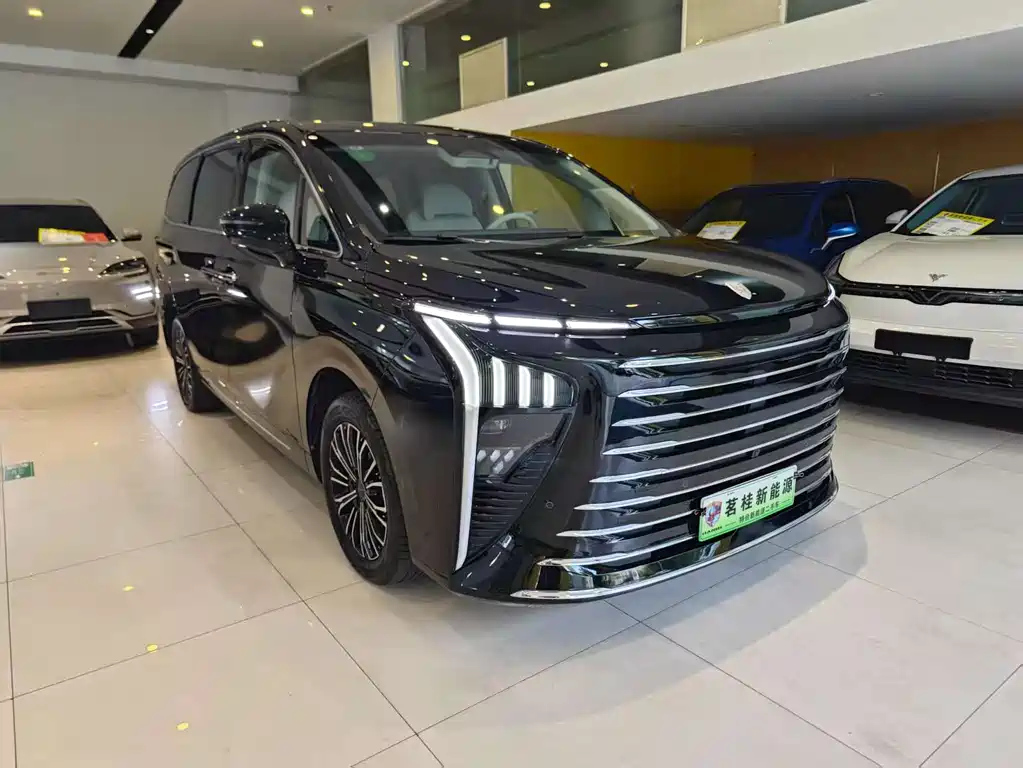 DONGFENG OTHER 2024