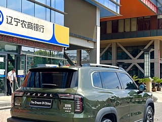 HAVAL DARGO  2022 YEAR 2.0T DCT 4WD ZHONGHUA &#30000;&#22253;&#29356; EDITION 2022