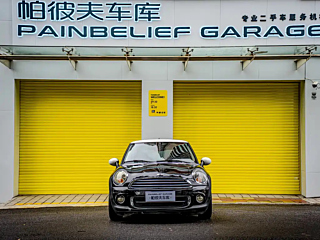 MINI OTHER 2013