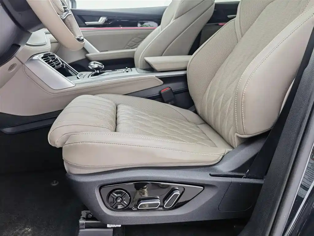 BYD TANG NEW ENERGY 2024