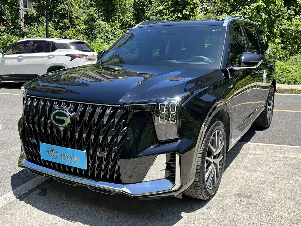 Аукционный лист TRUMPCHI ES9 2024