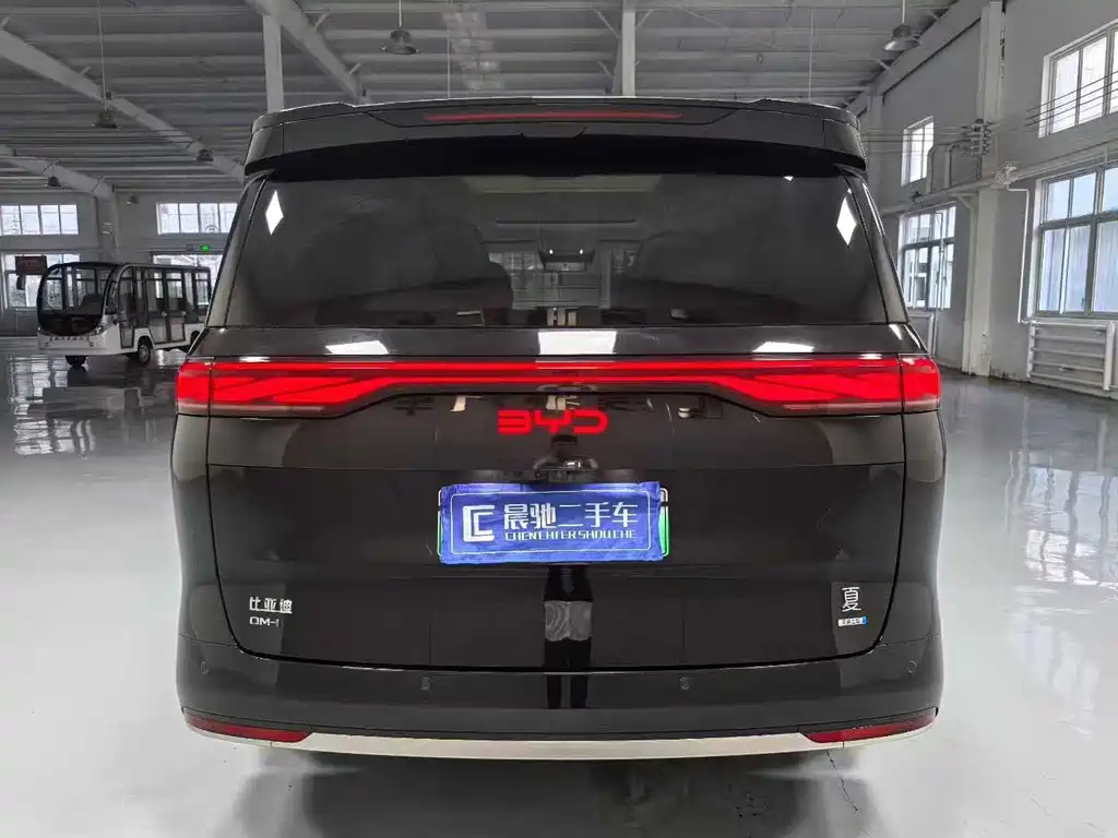 BYD OTHER 2025