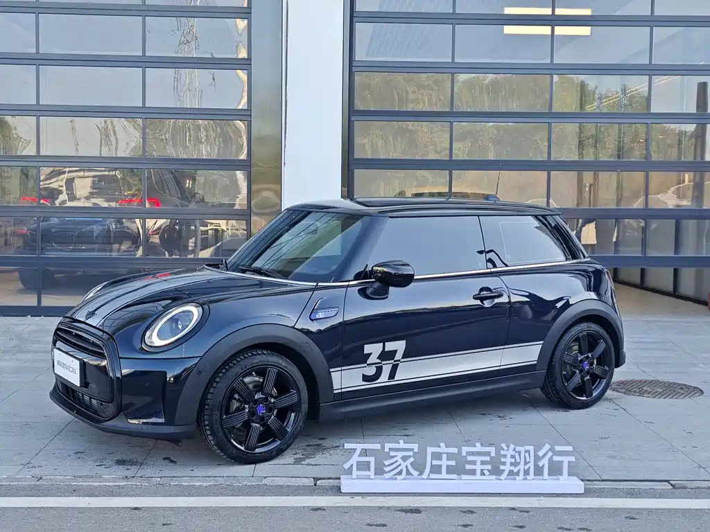 Аукционный лист MINI OTHER 2024