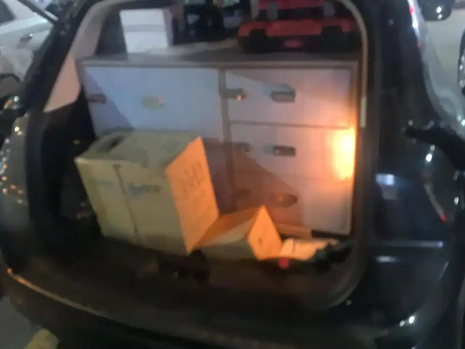 DONGFENG SCENERY 580 2016