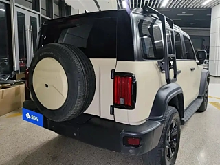 TANK 300 2021 YEAR EDITION 2.0T 2021