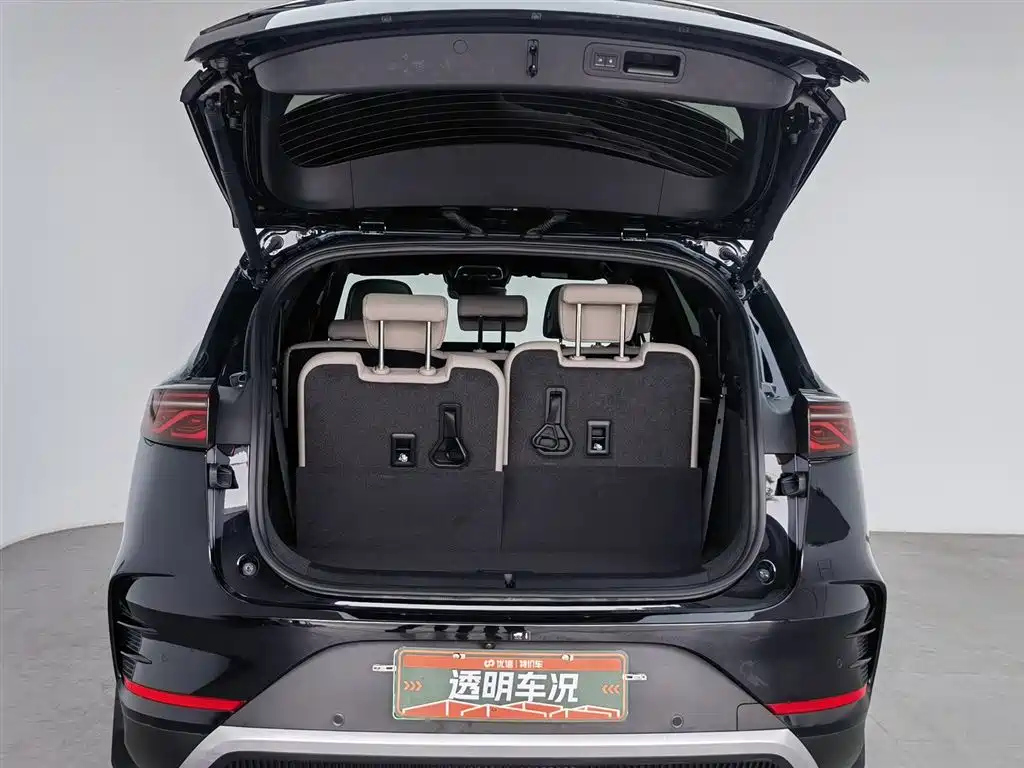 BYD TANG NEW ENERGY 2024