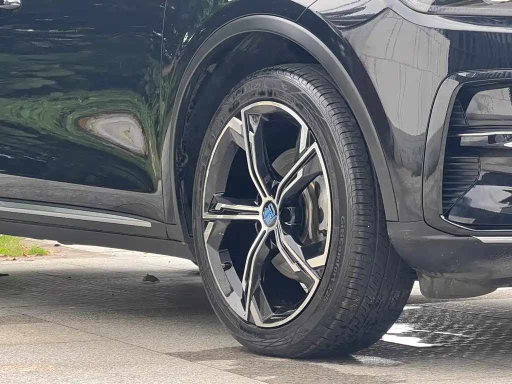 BYD TANG NEW ENERGY 2021