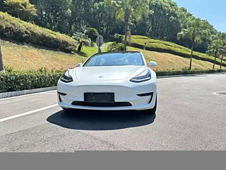 TESLA MODEL 3  2019