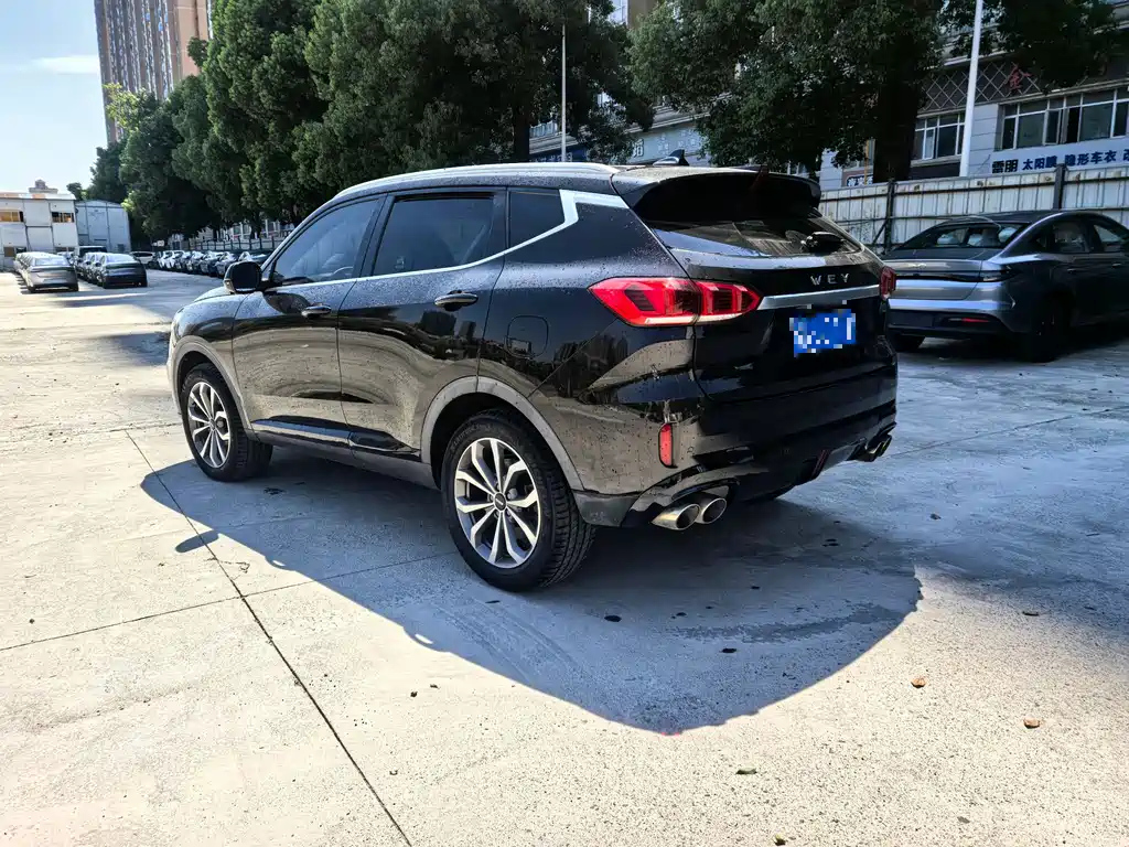 WEY VV6 2020