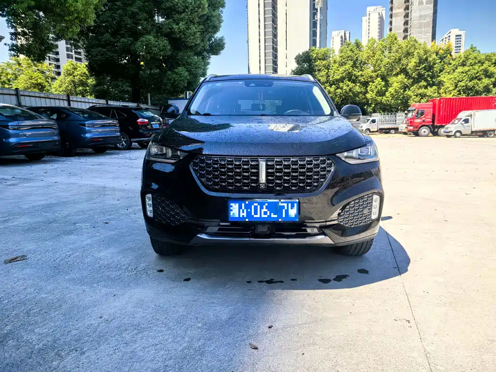 WEY VV6 2020