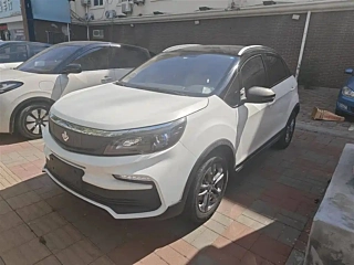 Заказать LIVAN 枫叶30X