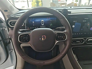 LEAPMOTOR C11  2023 YEAR RANGE-EXTENDING 300&#33298;&#20139; EDITION 2023