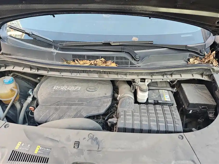 TRUMPCHI M8 2021