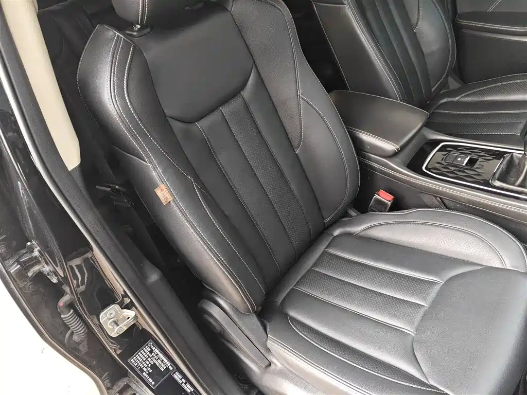 DONGFENG SCENERY 580 2020