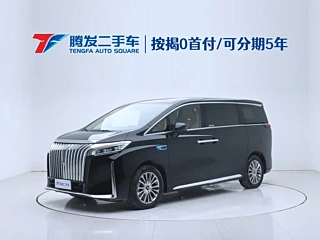 Заказать WEY GAOSHAN