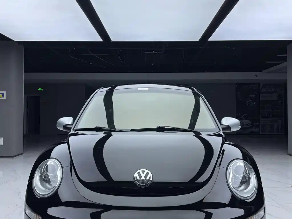 VOLKSWAGEN BEETLE 2010