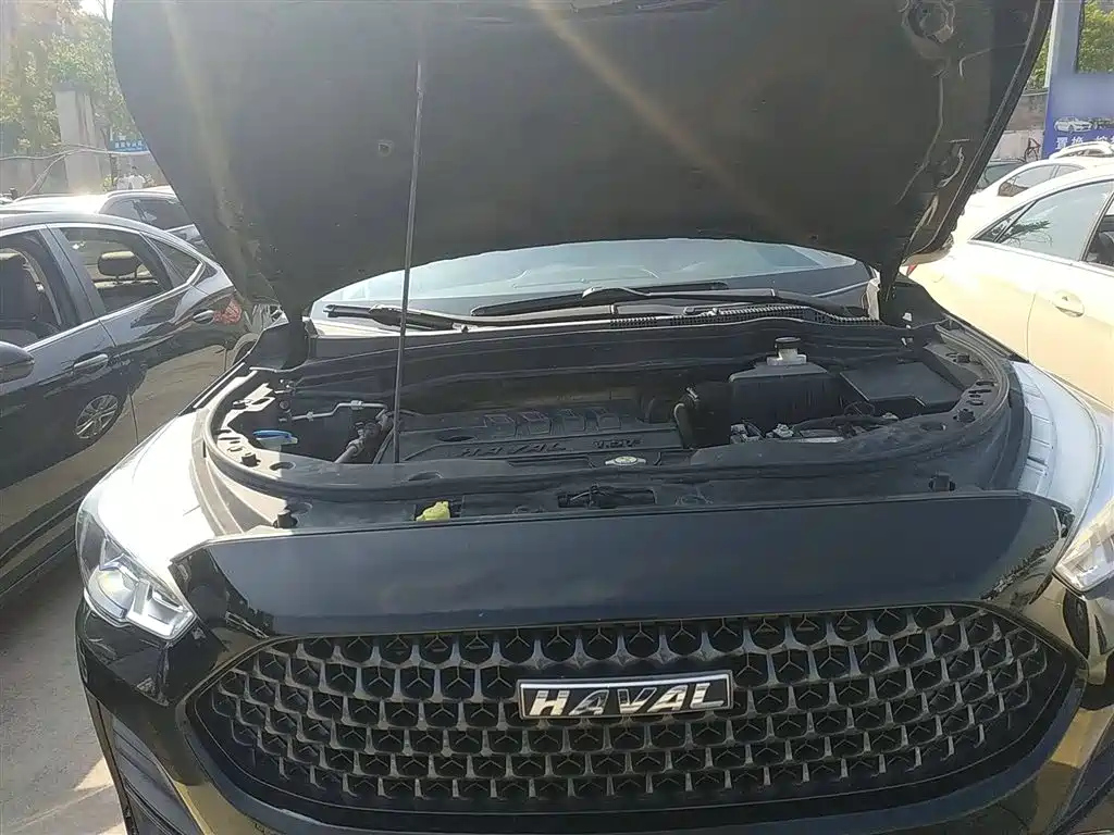 HAVAL M6 2019