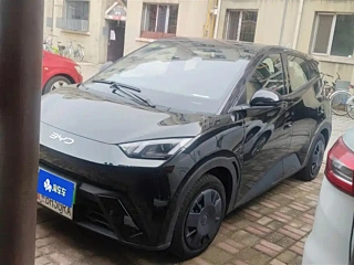 BYD SEAGULL 2025 YEAR 305KM VITALITY EDITION 2025