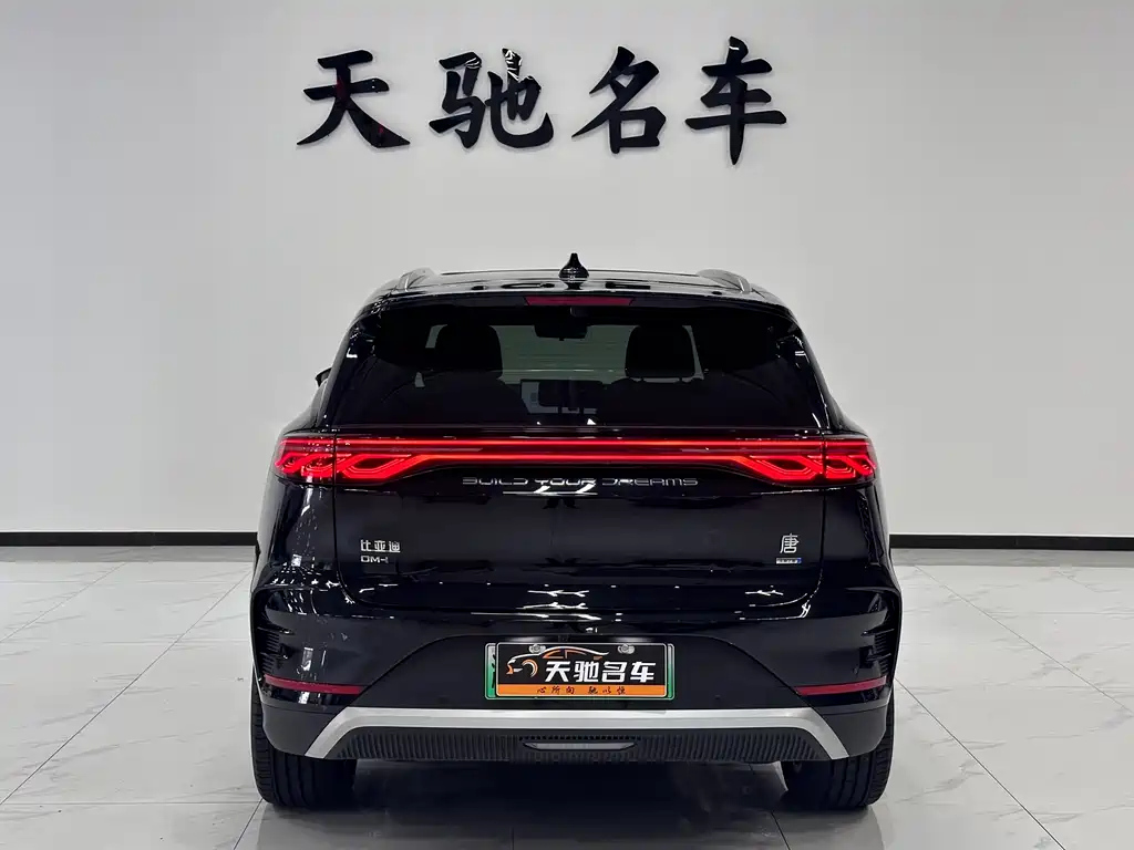 BYD TANG NEW ENERGY 2025
