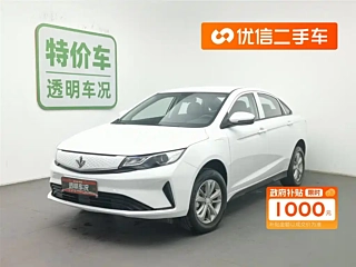 Заказать LIVAN 枫叶60S