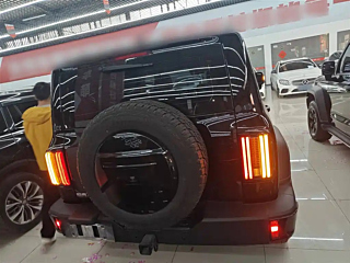 TANK 300  2024 YEAR 2.0T 2024