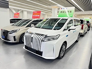 Заказать WEY GAOSHAN