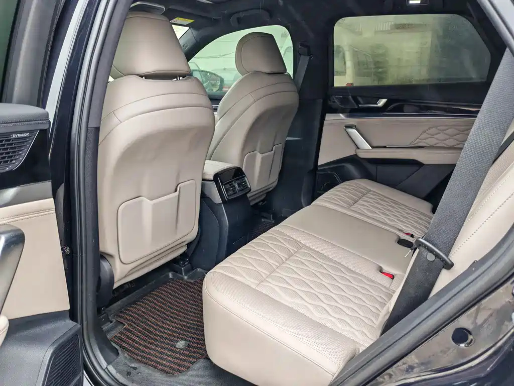 BYD TANG NEW ENERGY 2025