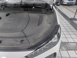 NETA AUTO L  2024 YEAR RANGE-EXTENDING 310 &#38378;&#20805;&#32418;&#34915; E 2024