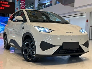 BYD SEAGULL  2025 YEAR SMART DRIVE EDITION 405KM  EDITION 2025