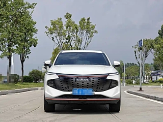 HAVAL &#31070;&#20861;  2022