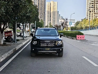 HAVAL BIG DOG 2020