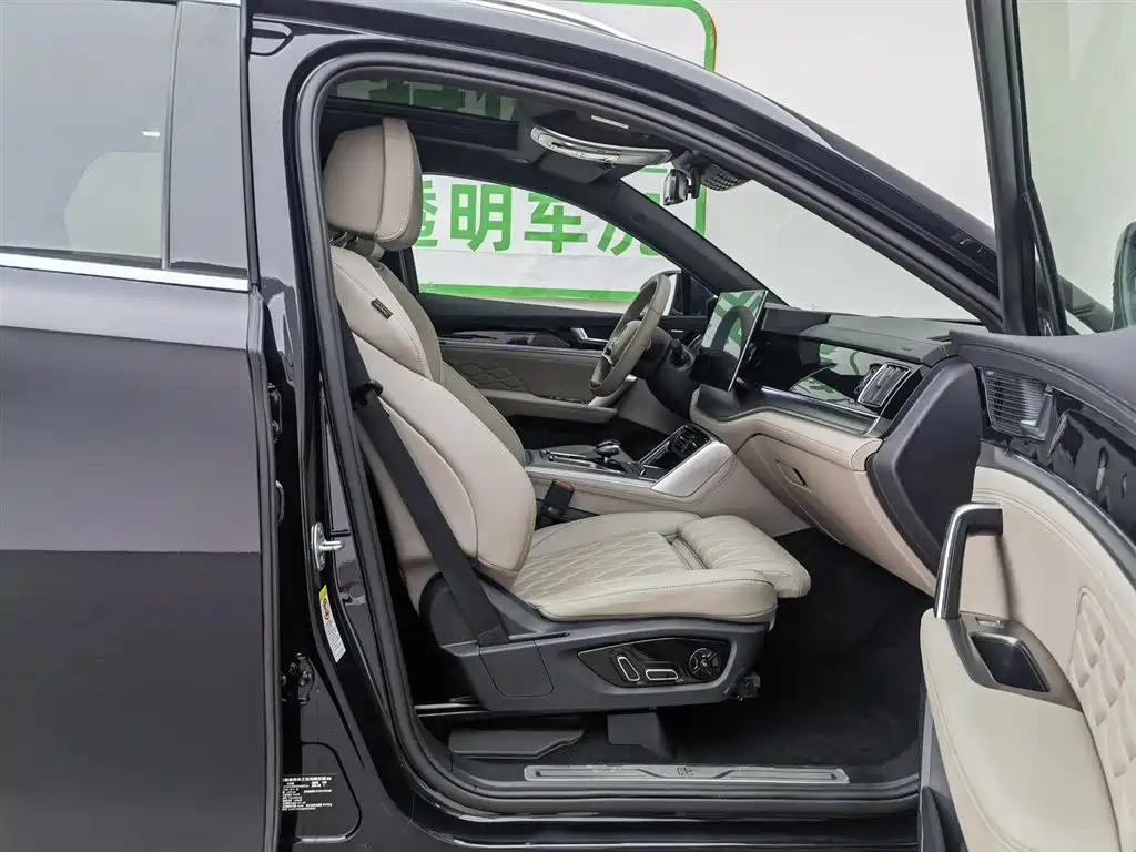 BYD TANG NEW ENERGY 2024