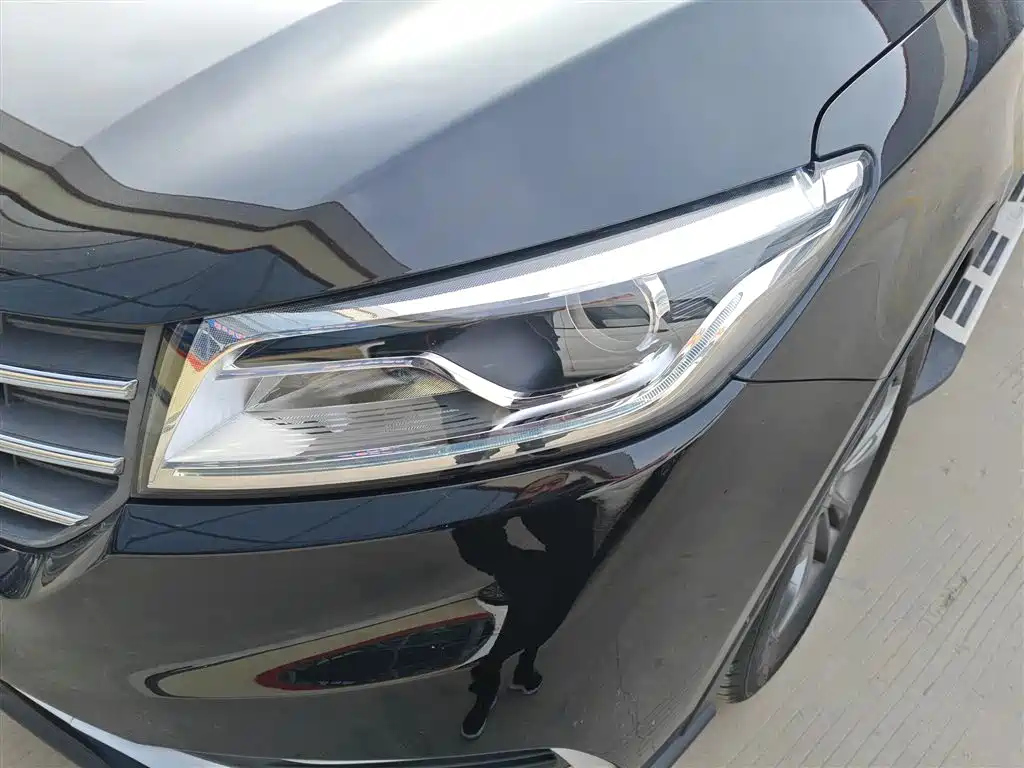 DONGFENG SCENERY 580 2020