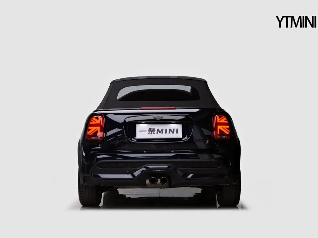MINI OTHER 2022