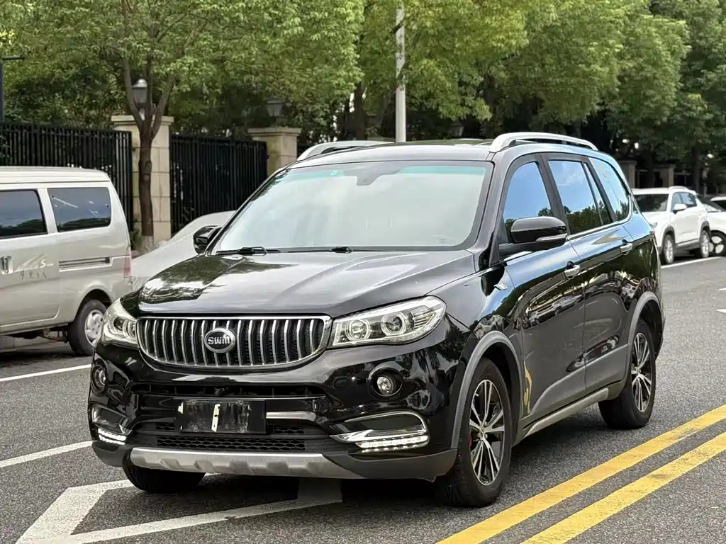 Аукционный лист SWM X7 2018