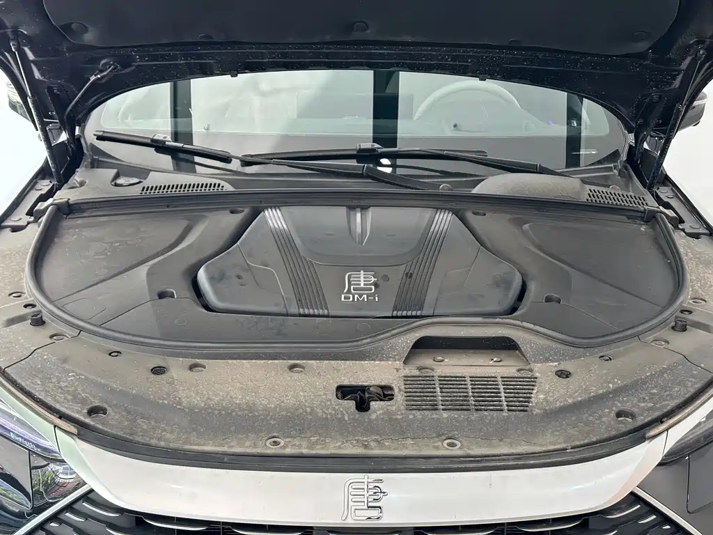 BYD TANG NEW ENERGY 2025