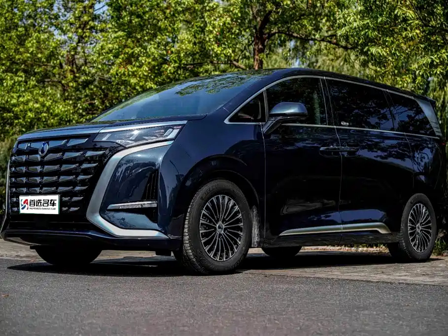 Аукционный лист DENZA D9 2023