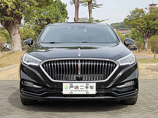 HONGQI H5 2021
