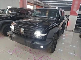 TANK 300  2024 YEAR 2.0T 2024