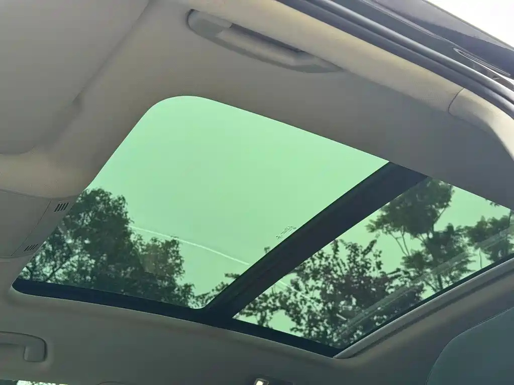 VOLKSWAGEN MAGOTAN 2021