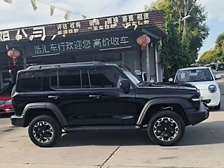 TANK 300 NEW ENERGY 2025 YEAR HI4-T 2025